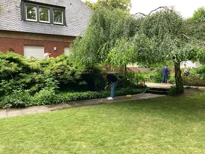 Img 0721.jpg