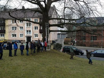 49 Bau Einer Schaukel Mit Onkel Mo.jpg